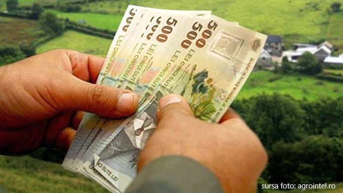 Doar 25 de producători de usturoi din Mureș au solicitat ajutor de minimis de la stat