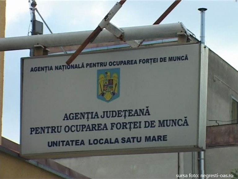 Agenția Județeană pentru Ocuparea Forței de Muncă organizează programe de formare profesională